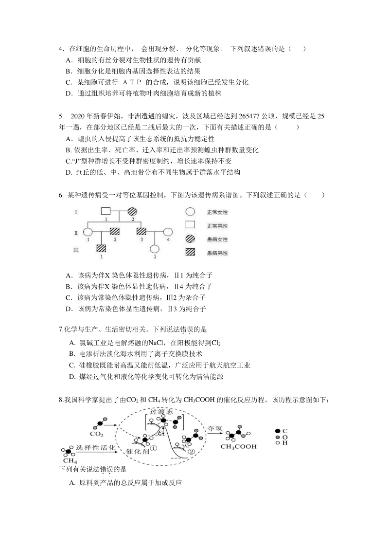 广东省广州市番禺区2020年3月高三线上检测理科综合试题（含答案）_第2页