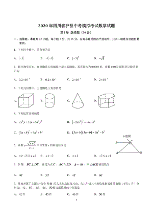 四川省泸县2020年中考数学模拟试题（含答案）