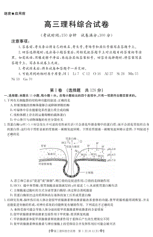 河北省邢台市2020年高考理科综合模拟试题（一）含答案（PDF版）