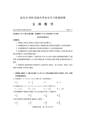 湖北省武汉市2020届高三毕业生3月学习质量检测文科数学试卷含答案（PDF版）