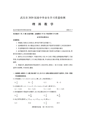 湖北省武汉市2020届高三毕业生3月学习质量检测理科数学试卷含答案（PDF版）