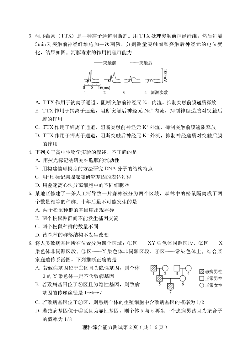河北省保定市2020届高三第一次模拟考试理科综合试题（含答案）_第2页