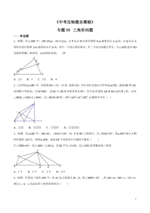 2019中考数学压轴题全揭秘精品专题09 三角形问题（学生版）
