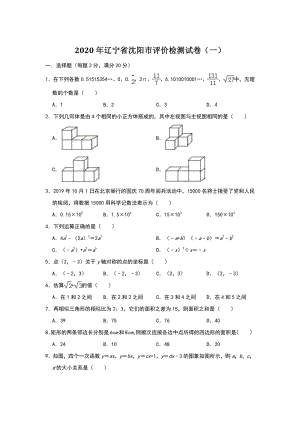 辽宁省沈阳市2020年九年级数学评价检测试卷（一）含答案