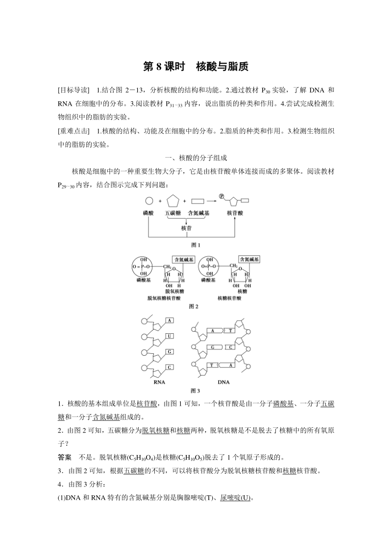 2.3.4 核酸与脂质 学案（含答案）_第1页