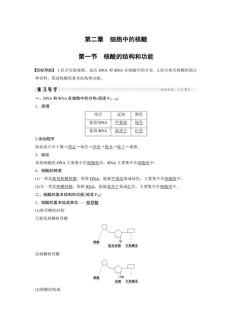 2.2.1 核酸的结构和功能 学案（含答案）_第1页