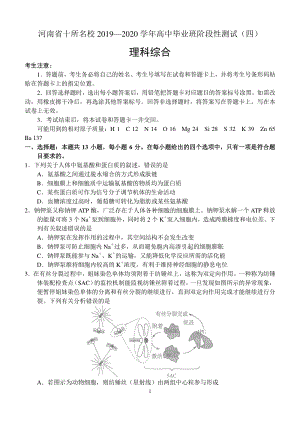 河南省十所名校2019—2020学年高中毕业班阶段性测试理科综合试卷（四）含答案