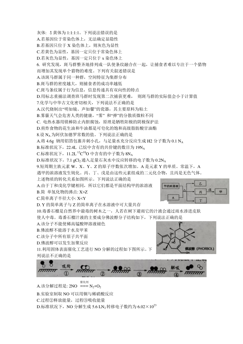 河北省唐山市2020年高三第一次模拟考试理科综试题（含答案）_第2页