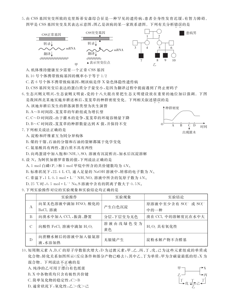 2020届湖南省郴州市高三第四次月考理科综合试卷（含答案）_第2页