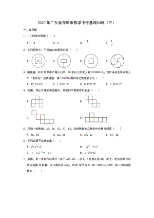 2020年广东省深圳市中考数学基础训练（三）含答案