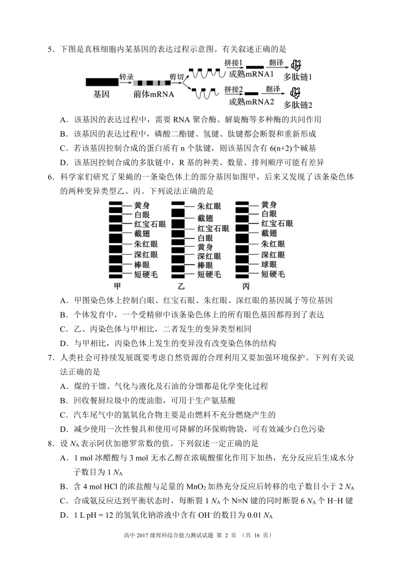 四川省成都市蓉城名校联盟2020年高三第三次联考理科综合能力测试试题（含答案）_第2页