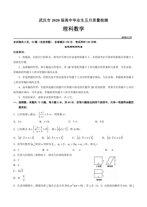 湖北省武汉市2020年5月高三高中毕业生质量检测数学试卷（理科）含答案