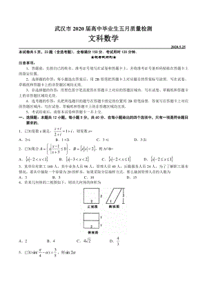 湖北省武汉市2020年5月高三高中毕业生质量检测数学试卷（文科）含答案