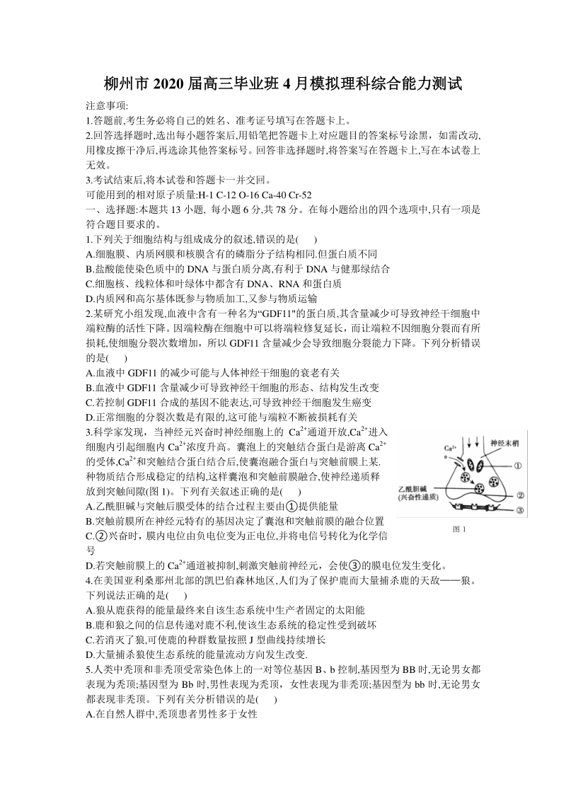 广西柳州市2020届高三毕业班4月模拟理科综合试题（含答案）_第1页