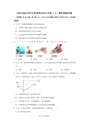 2019-2020学年江苏省苏州市九年级（上）期末物理试卷（含详细解答）