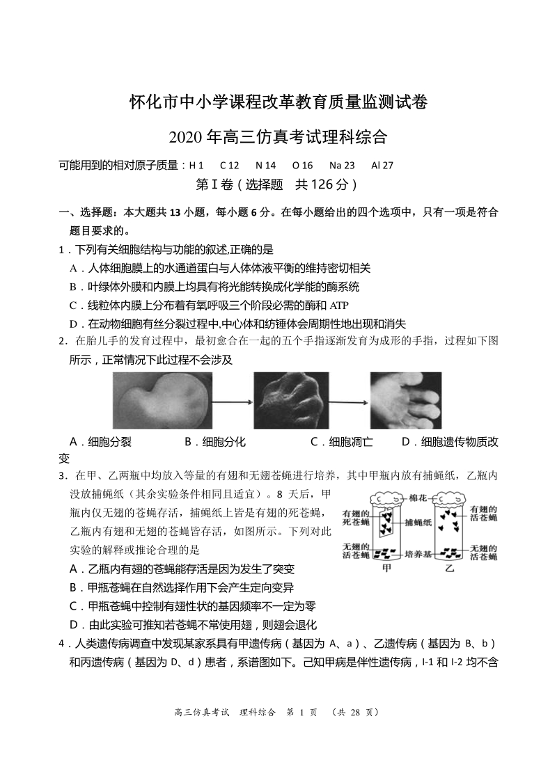 湖南省怀化市中小学课程改革2020年高三仿真考试理综试题（含答案）_第1页