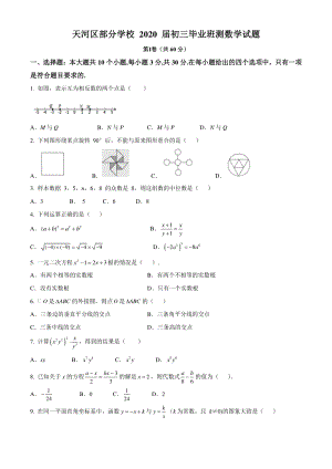 2020届广东省广州市天河区部分学校初三毕业班总复习数学试题（含答案）