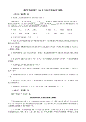 湖北省武汉市东湖高新区2020届中考适应性考试语文试卷（含答案）