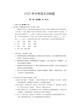 2020年湖北省武汉市武昌区中考适应性考试语文试题（含答案）
