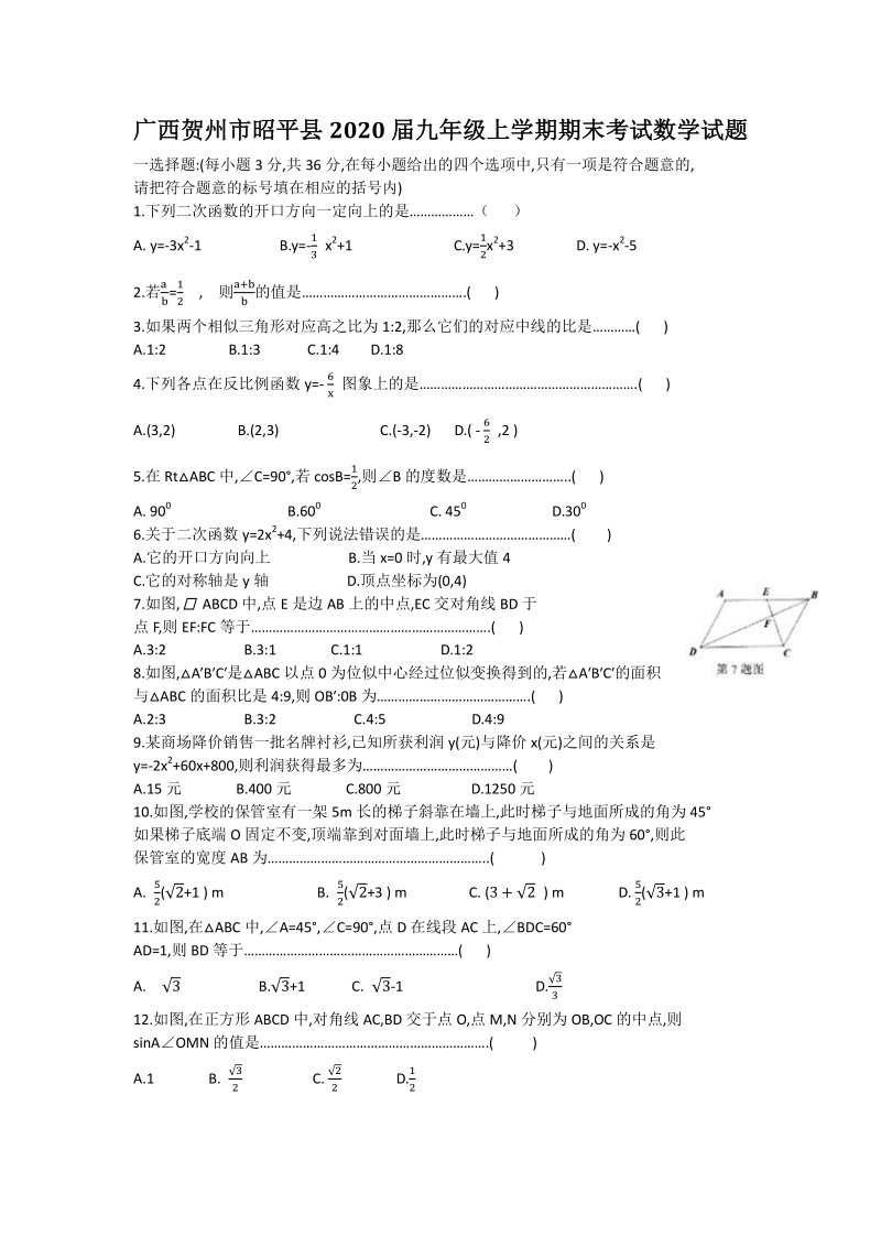 广西贺州市昭平县2020届九年级上期末数学试题（含答案）_第1页