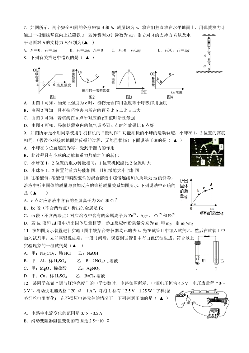 2020年浙江宁波市中考模拟考试科学试卷（含答案）_第2页