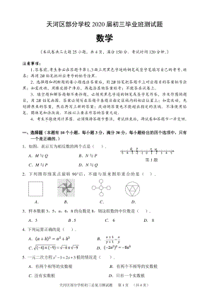 2020届广东省广州市天河区部分学校初三毕业班数学总复习测试题（含答案）
