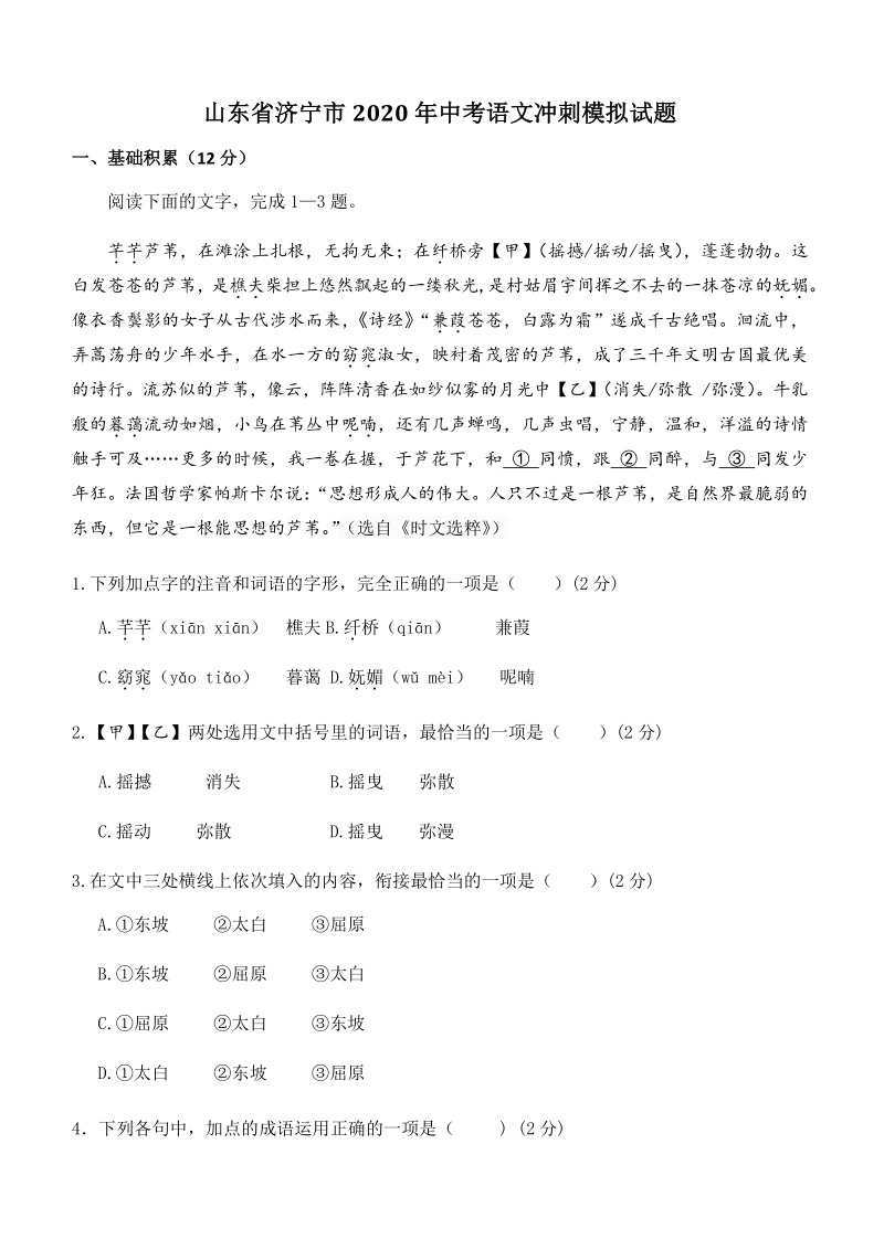山东省济宁市2020年中考语文冲刺模拟试题（含答案）_第1页