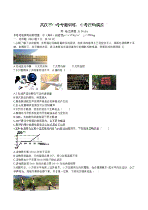 2020年湖北省武汉市中考压轴模拟训练（二）含答案