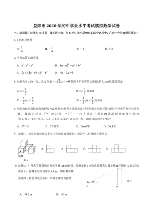 湖南省益阳市2020年初三数学学业水平考试模拟试卷（含答案）