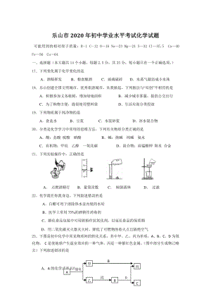 四川省乐山市2020年初中学业水平考试化学试题（含答案）