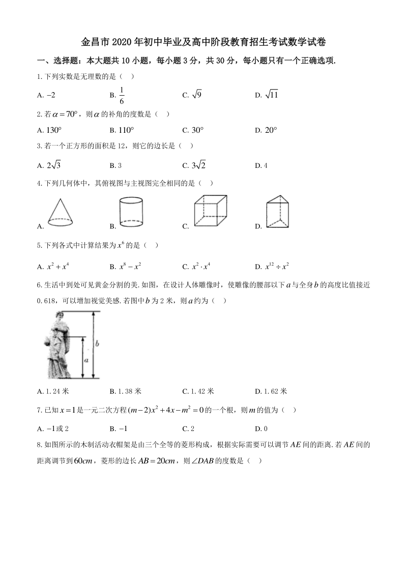 2020年甘肃省金昌市中考数学试题（含答案）_第1页