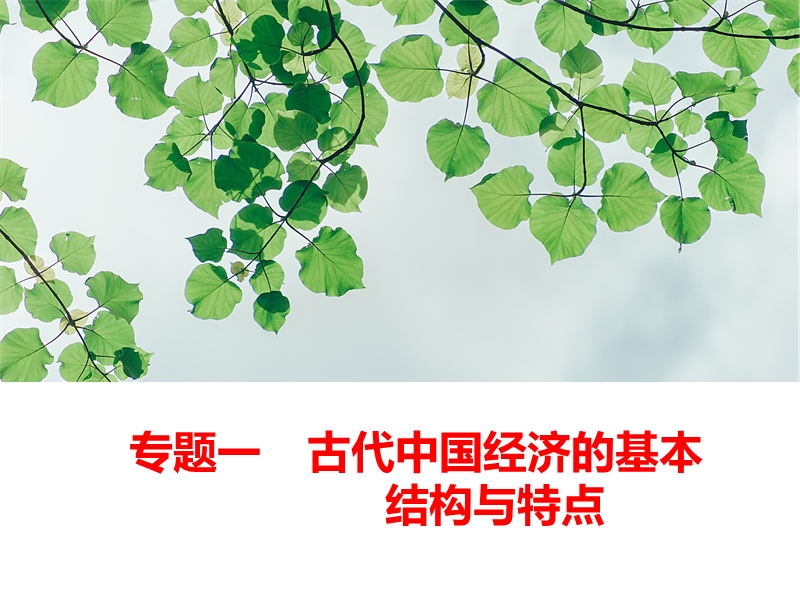 1.1 古代中国的农业经济 课件1（共64张ppt）_第1页