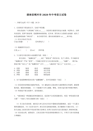 湖南省郴州市2020年中考语文试题（含答案解析）