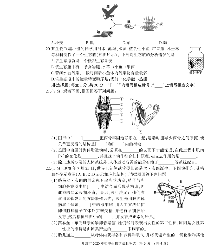 河南省开封市2020年初中结业考试生物试题（含答案）_第3页
