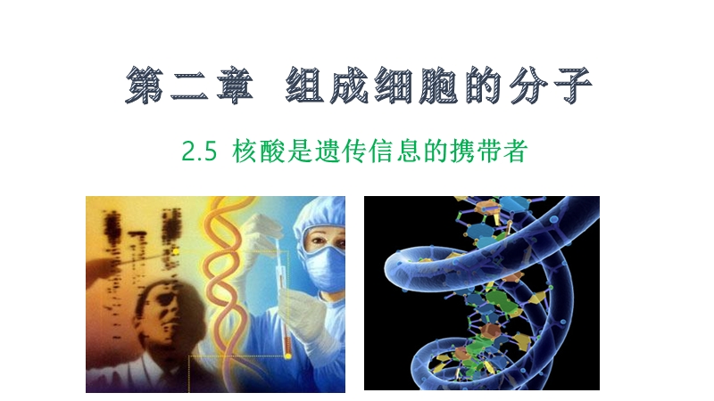 2.5 核酸是遗传信息的携带者ppt课件（新教材）人教版2020年秋生物必修一 (共15张PPT)_第1页