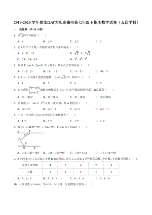 黑龙江省大庆市肇州县（五四学制）2019-2020学年七年级下期末考试数学试题（含答案解析）