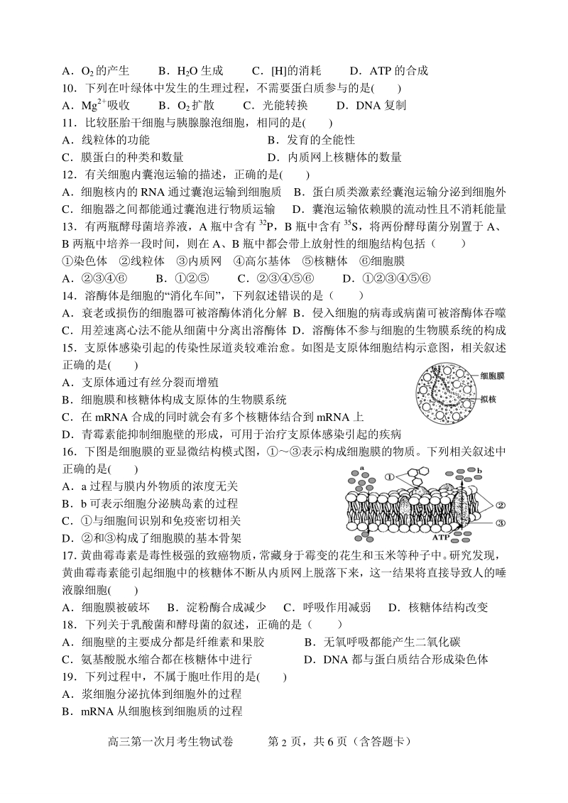江西省贵溪市2021届高三第一次月考生物试题（含答案）_第2页