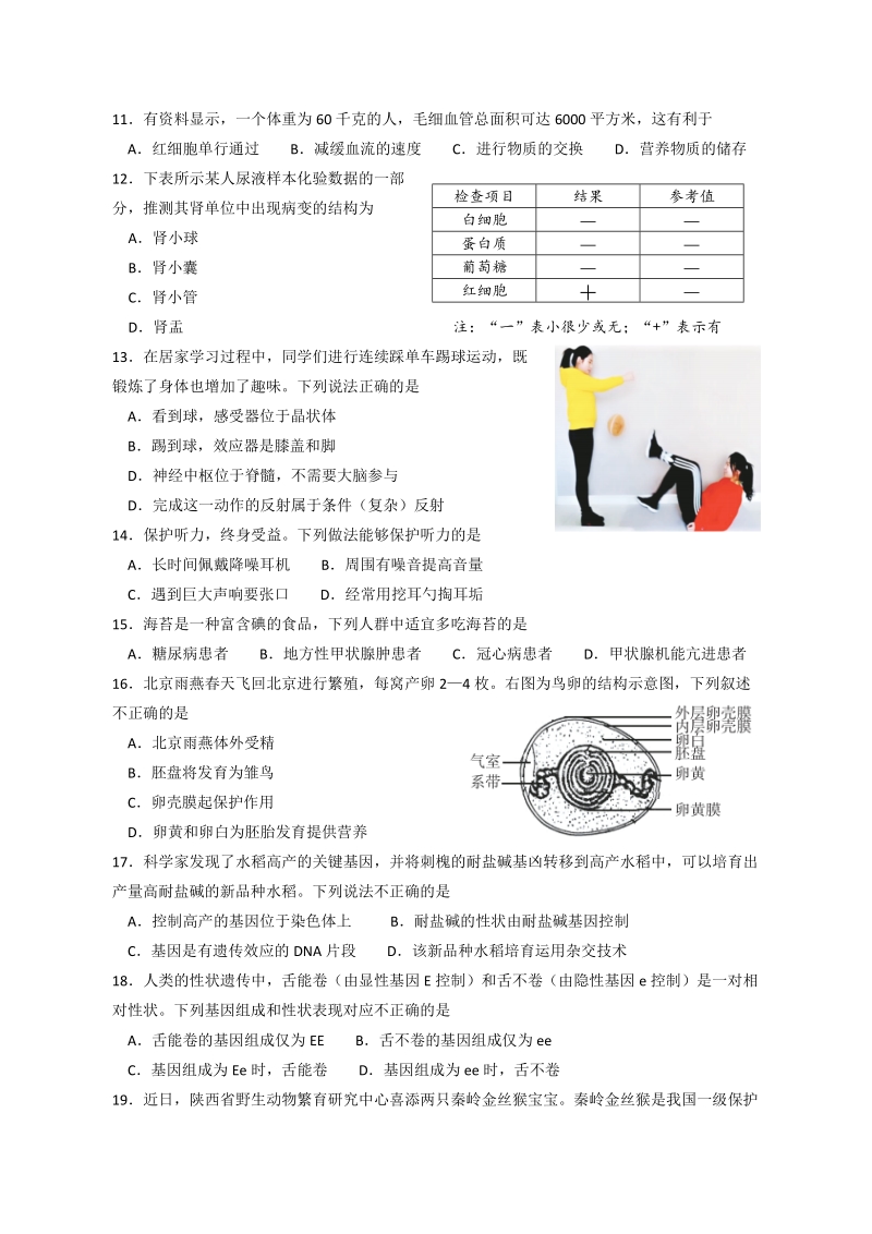 北京市丰台区2020年八年级学业水平考试生物模拟测试试题（含答案）_第3页