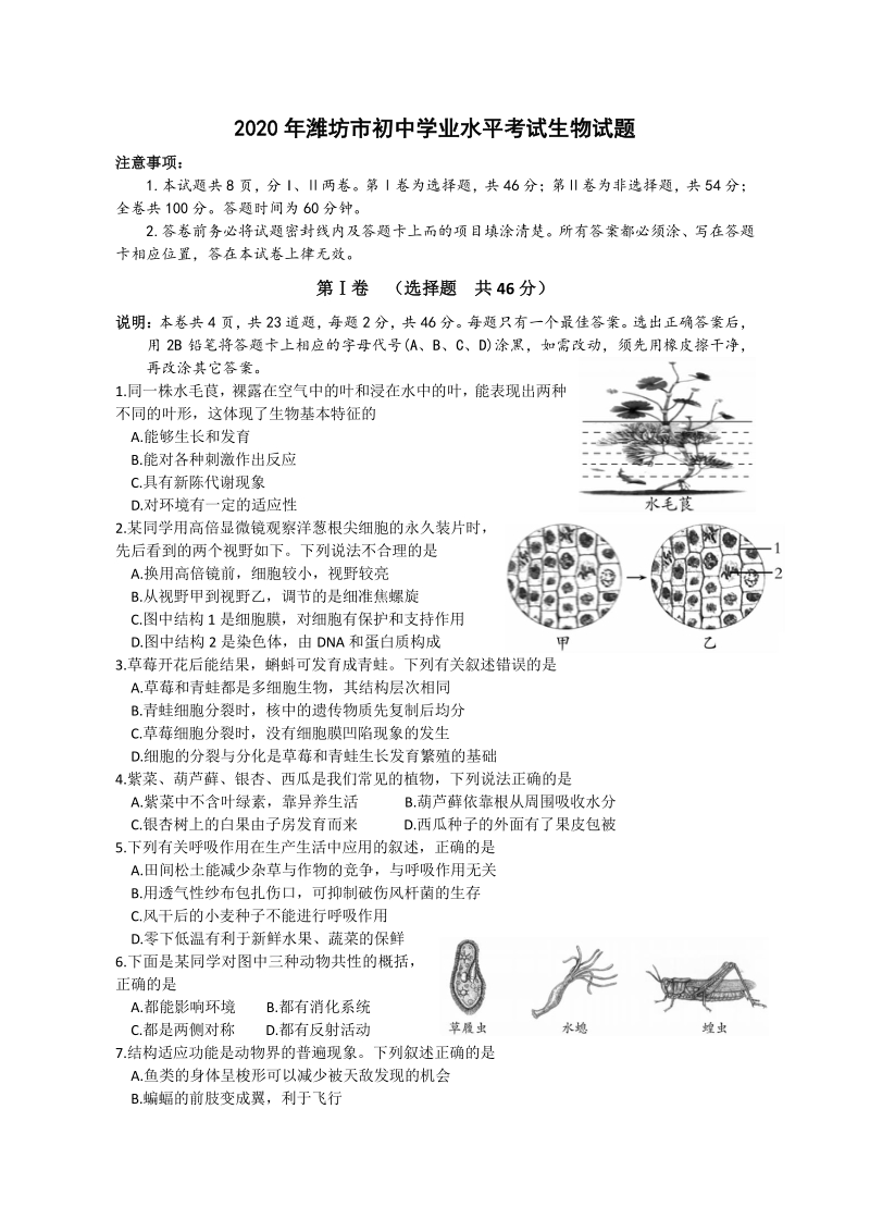 山东省潍坊市2020年中考生物试题（含答案）_第1页