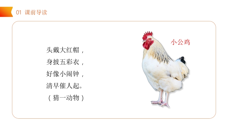 《小公鸡和小鸭子》小学语文一年级下册PPT课件（第3.1课时）_第2页