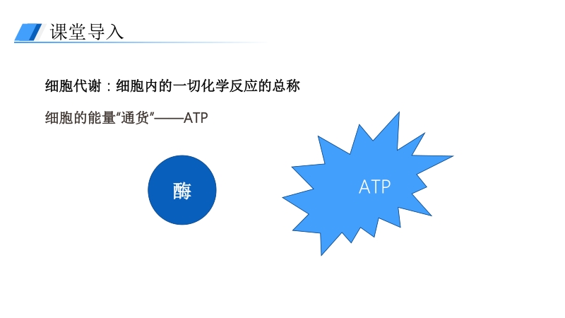 《细胞的能量通货（ATP）》人教版必修高一生物PPT课件_第2页