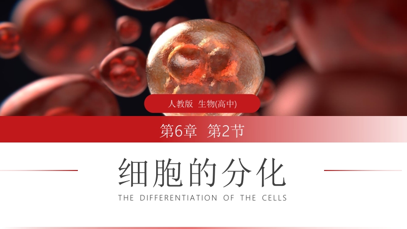 《细胞的分化》人教版必修高一生物PPT课件_第1页