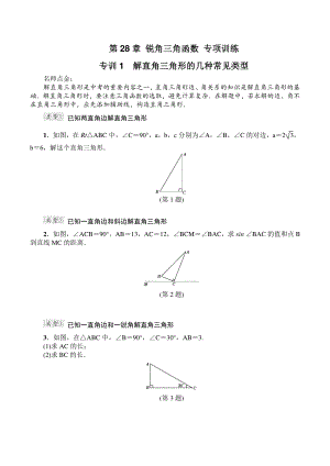 第28章锐角三角函数 专项训练（2）含答案