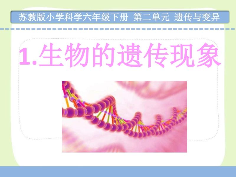 南京市苏教版科学六年级下册《第二单元遗传与变异》全部课件（共3课时）_第2页