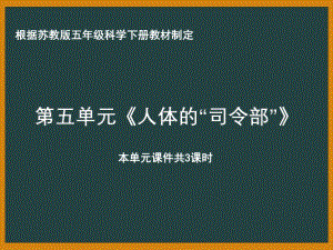 南京市苏教版科学五年级下册《第五单元人体的司令部》课件（共3课时）