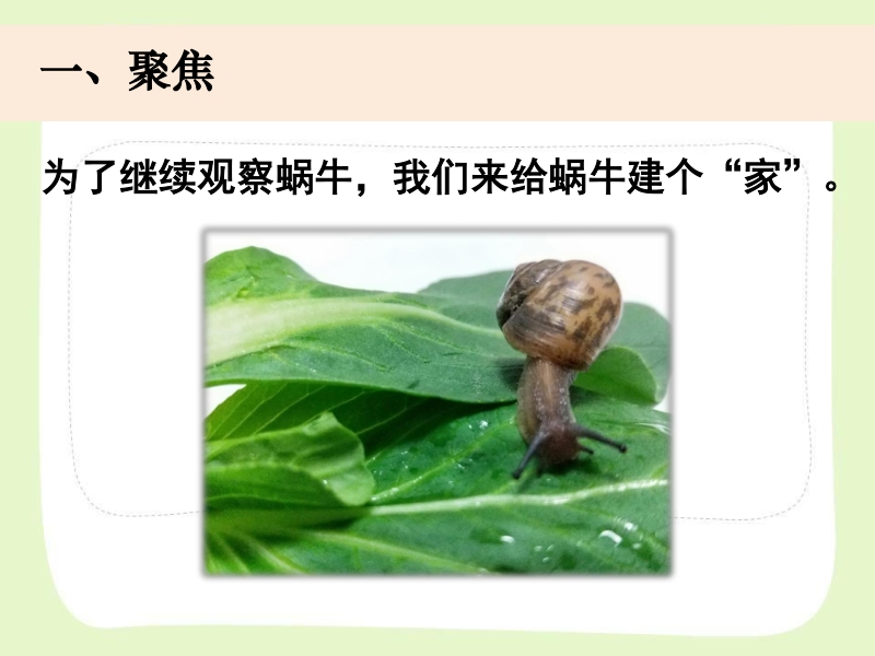 2021年杭州市教科版一年级科学下册《2.4给动物建个“家”》ppt课件_第2页