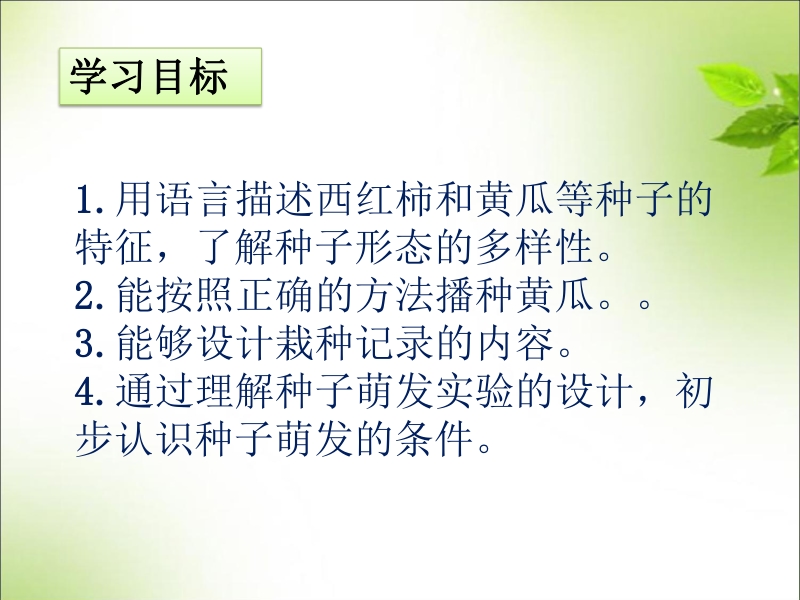 2021年南京市苏教版科学三年级下册第一单元植物的一生ppt课件（共4课时）_第3页