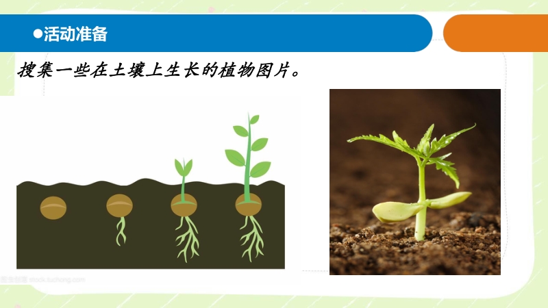2021年新青岛版（六三制）一年级科学下册第四单元12《土壤与植物》课件_第2页