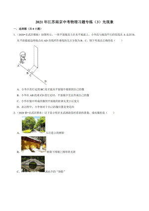 2021年江苏省南京市中考物理习题专练（3）光现象（含答案解析）