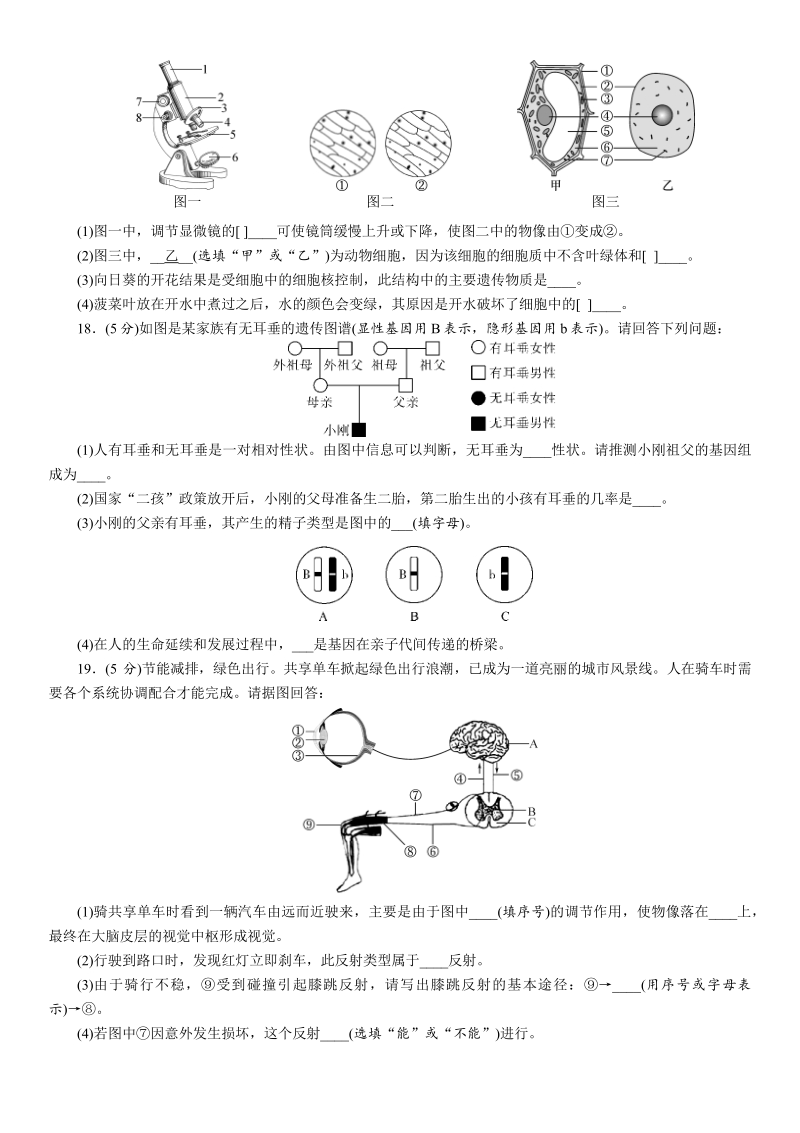 2021年广西省百色市中考生物模拟试题（二）含答案_第3页